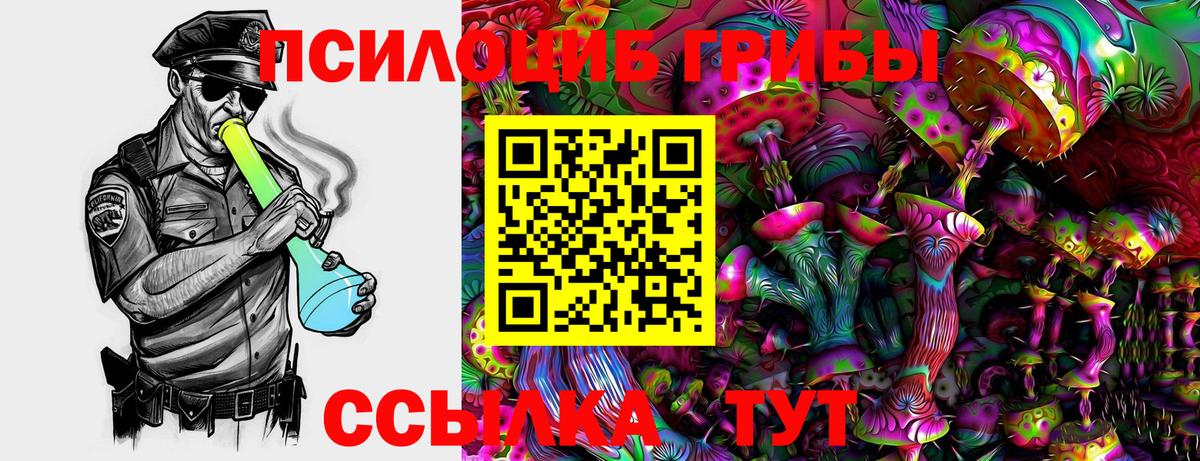 Галлюциногенные грибы прущие грибы  Вход с VPN  Обнинск 
