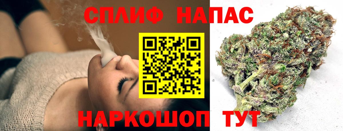 Каннабис план Обнинск